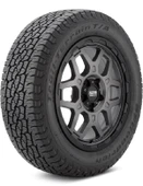 BF Goodrich 255/55R19 111H XL TL Trail-Terrain T/A (4 Mevsim) (2023) - 1
