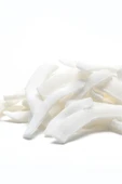Kurutulmuş Ithal Hindistan Cevizi Kilitli Paket 1 Kg - 2
