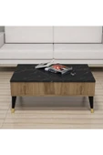Ferniso Mobilya Orta Sehpa Çam-Mermer Desen - 2