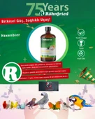 Röhnfried Hexenbier Doğal Bağışıklık Sistemi Kuvvetlendirici Vitamin 500 ml - 2