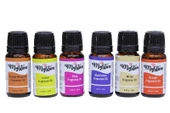 Fresh Assorted Fragrance Oil 24'lü Set - 4
