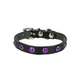 Doggie Taşlı Kedi ve Yavru Köpek Tasması 1,2x26 cm Siyah Large - 2