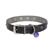 Doggie Taşlı Kedi ve Yavru Köpek Tasması 1*23 cm Mavi Medium - 4