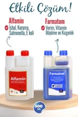 2li Set Kuşlar Için Farmatom Vitamin + Alfamin Ishal Seti (500 Ml) - 2