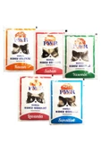 Magic Power Kum Parfümü Doğal Koku Giderici 12 Adet Karışık 25 gr - 1