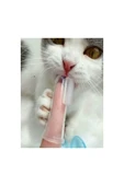 toptanabi Kedi Ve Köpek Diş Fırçası Evcil Hayvan Diş Bakım Fırçası Yumuşak Diş Tartar Slikon Diş Fırçası - 4