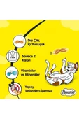 Dreamies Somonlu Kedi Ödül Maması 60 gr 6 Adet - 5