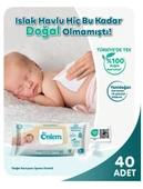 ÖNLEM Yenidoğan ve Hassas Bakım Islak Havlu 3 x 40 ( 120 Adet ) - 3