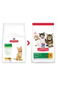 Hills Kitten Tavuklu Yavru Kedi Maması 1.5 kg - 2