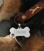 Kişiye Özel Kemik Model Patili Çelik Kedi Köpek Künyesi - 4