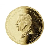 AgaKulche Başyapıt Altın Sikke Coin - 2