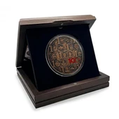 AgaKulche Türkiye Yüzyılı Bronz Sikke Coin - 4
