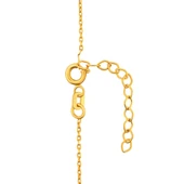 AgaKulche 10 gr Altın Külçe Kolye thumbnail 4