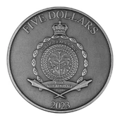 AgaKulche Odin Gümüş Sikke Coin - 2
