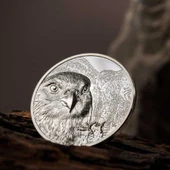 AgaKulche Moğol Şahini Gümüş Sikke Coin - 3
