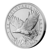 AgaKulche Kartal 2023 1 Ons Gümüş Sikke Coin - 2