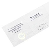 AgaKulche Pegasus Gümüş Sikke Coin - 4