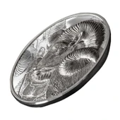 AgaKulche Dağ Koyunu Argali Gümüş Sikke Coin - 3