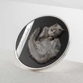 AgaKulche Beyaz Kedi 2024 Gümüş Sikke Coin - 4
