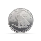 AgaKulche Amerikan Kartalı Gümüş Sikke Coin - 1