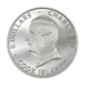 AgaKulche Beyaz Kedi 2024 Gümüş Sikke Coin - 2