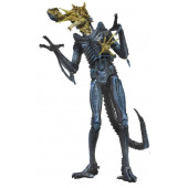 NECA - Aliens - Battle Damaged Xenomorph Figure (BLUE) - 3