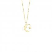 14k Altın Atatürk Ayyıldız Kolye thumbnail 1