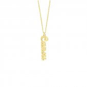 14k Altın El Yazı Dikey İsim Kolye thumbnail 2