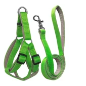 Gezdirme Kayışlı Dokuma Köpek Göğüs Tasma Seti 52*73-110 cm Neon Yeşil - 1
