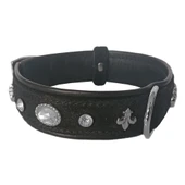 Markapet Taşlı Kadife Köpek Boyun Tasması 38-43 cm Siyah thumbnail 1