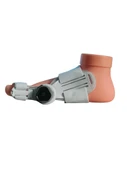 Ayak Baş Parmak Kemik Düzeltici Halluks Valgus - 1