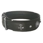 Markapet Deri Parlak Taşlı Köpek Boyun Tasması 44-50 cm Medium Siyah thumbnail 4