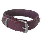 Markapet Deri Parlak Taşlı Köpek Boyun Tasması 28-32 cm X-Small Mor - 2