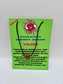 GÜMÜŞTEL EL SANATLARI Sertifikalı Balık Burcu Yıldız Taşı Doğal Taş Kolye thumbnail 1