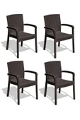 Çavdar Group Trend Lüx Rattan Desen Bahçe Koltuğu Balkon Bahçe Teras Sandalye Kahverengi 4 Adet - 1