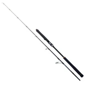 Ryuji Seawolf 198 cm 30-150 gr Jig Kamış thumbnail 1