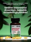 Anocin Akkermansia Muciniphila Probiyotik + Prebiyotik + Postbiyotik + İnulin 20 Tablet - 2