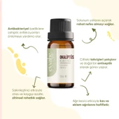 Okaliptus Yağı (10 ml) - 2