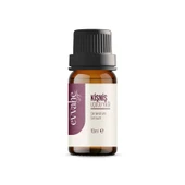 Kişniş Yağı (10ml.) - 2