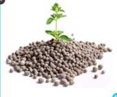 18 46 0 DAP Gübre Azot Fosfor Bitki Meyve Sebze Granül NP Taban Gübresi Yavuzer Tarım Gübre 10Kg - 2