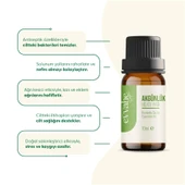 Akgünlük Uçucu Yağı 10 ml - 3