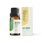 Çay Ağacı Yağı (10ml.) - 1