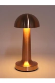 Bakır Renk Şarjlı Masa Lambaları thumbnail 2