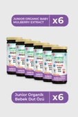 Organik Bebek Dut Özü 290 Gr 6 lı Paket Organic Baby Mulberry Extract 290 Gr 6 Pack - 1