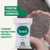 Dap 18 46 0  Gübre Azot Fosfor Granül NPK Taban Gübresi Yavuzer Tarım Gübre1Kg) thumbnail 3