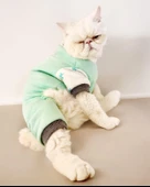 Minty Palm Kalın Penye Kedi Tulum Pijama thumbnail 1