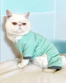 Minty Palm Kalın Penye Kedi Tulum Pijama thumbnail 2