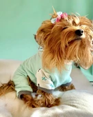 Minty Palm Kalın Penye Köpek Tulum Pijama - 6