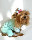 Minty Palm Kalın Penye Köpek Tulum Pijama - 5