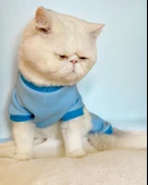 Blue Bunny Kalın Penye Kedi Tulum Pijama - 6